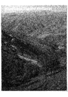 SP Bulletin 1988 Mar-Apr
